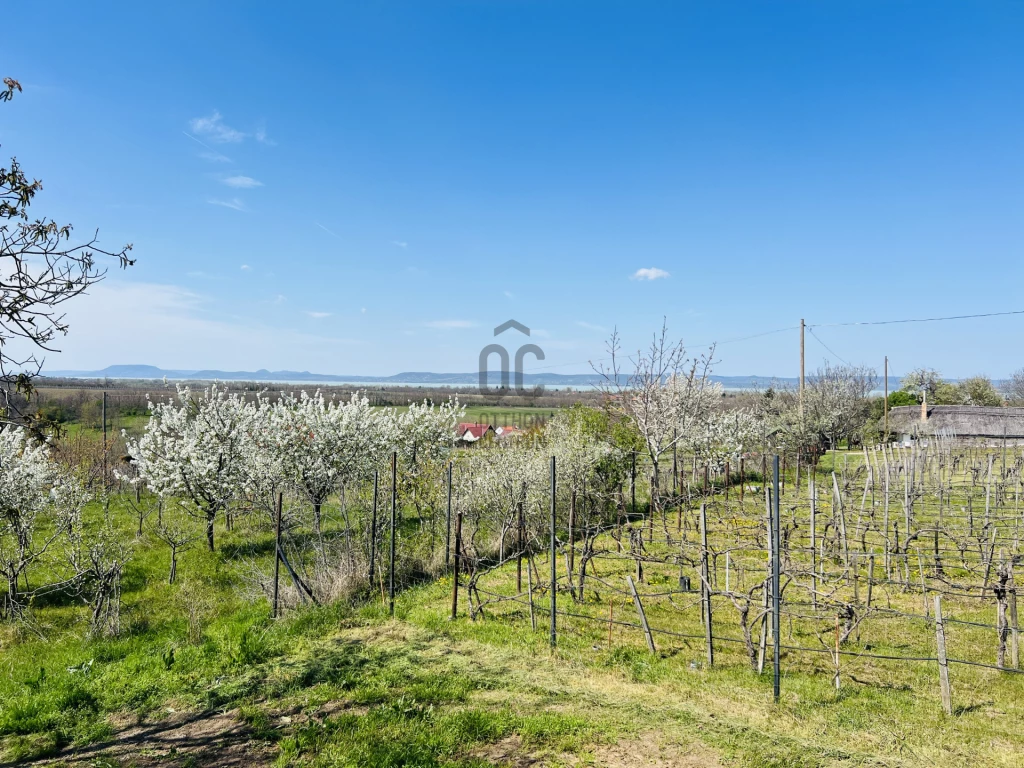 Eladó külterületi telek, Balatonszemes, Balatonszemes