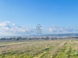 For sale holiday lot, Balatonberény, Balatonberény