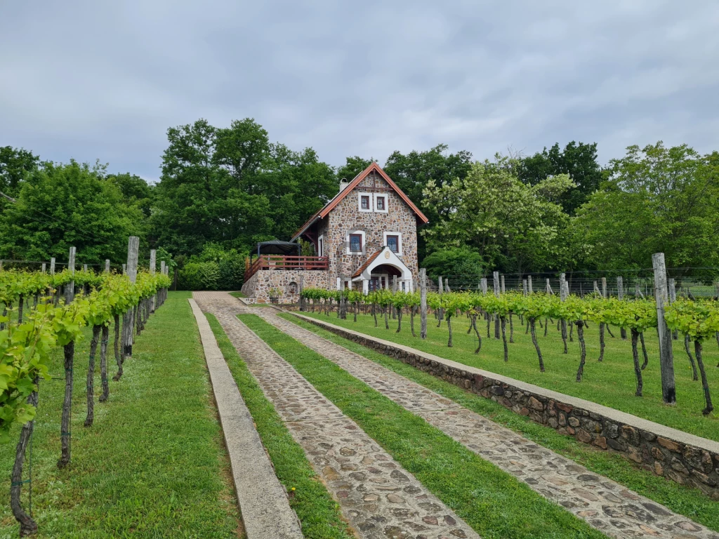 Eladó üdülő, nyaraló, Badacsonytomaj, Badacsonytomaj