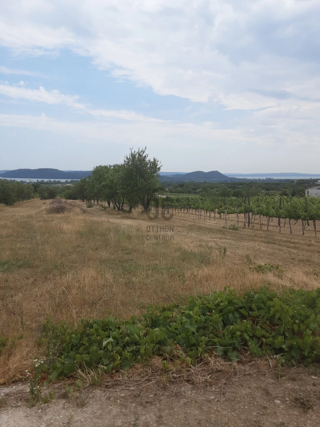 Eladó külterületi telek, Balatonfüred, Balatonfüred