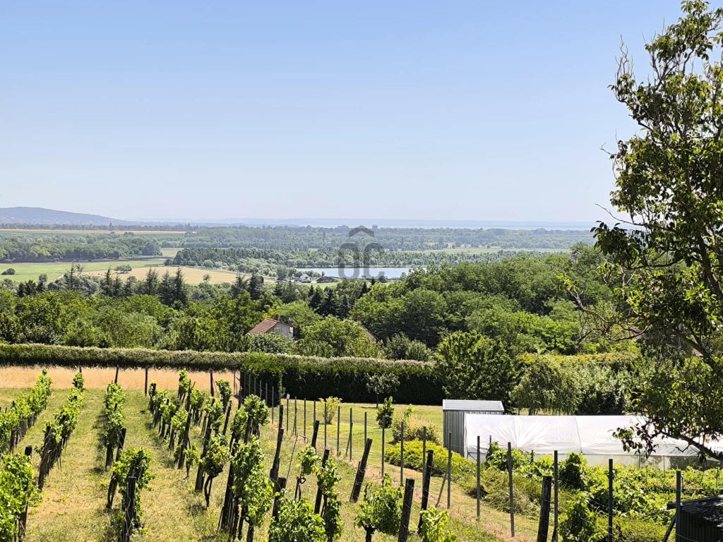 c3-1-name c2-63-name, Alsópáhok, Szőlőhegy