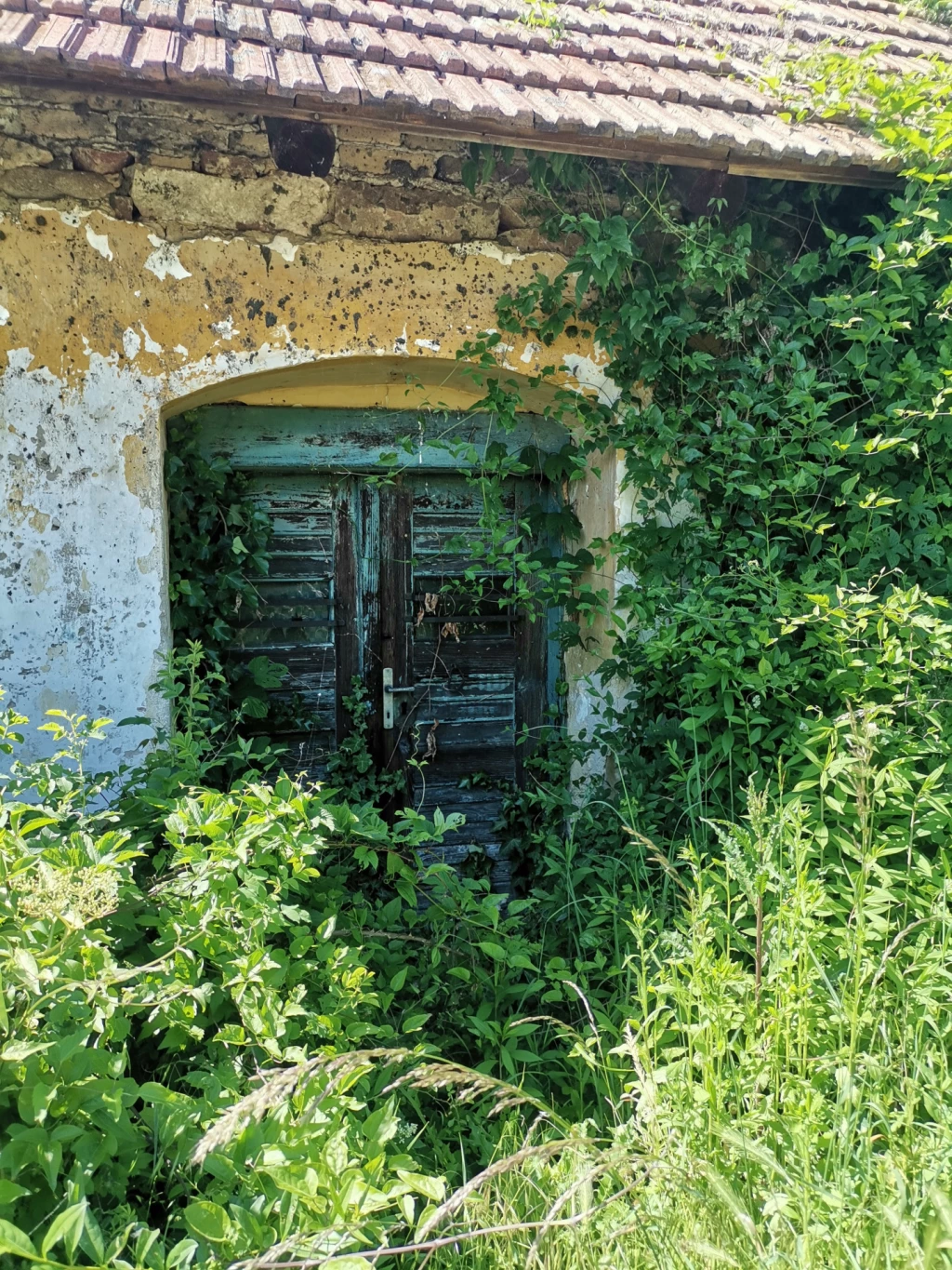 Eladó üdülő, nyaraló, Révfülöp, Révfülöp