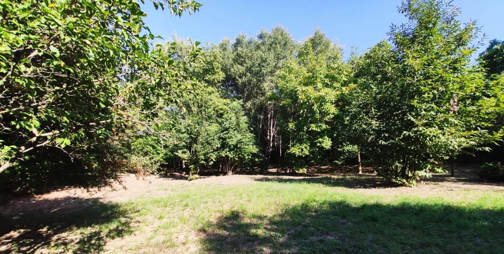 Eladó külterületi telek, Bazsi, Bazsi