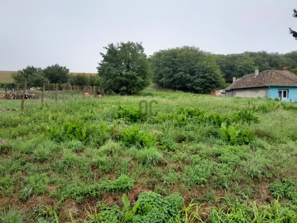 Eladó építési telek, Nagyrada, Nagyrada