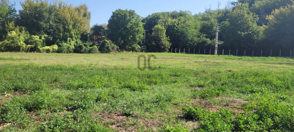 Eladó építési telek, Szőlősgyörök, Szőlősgyörök