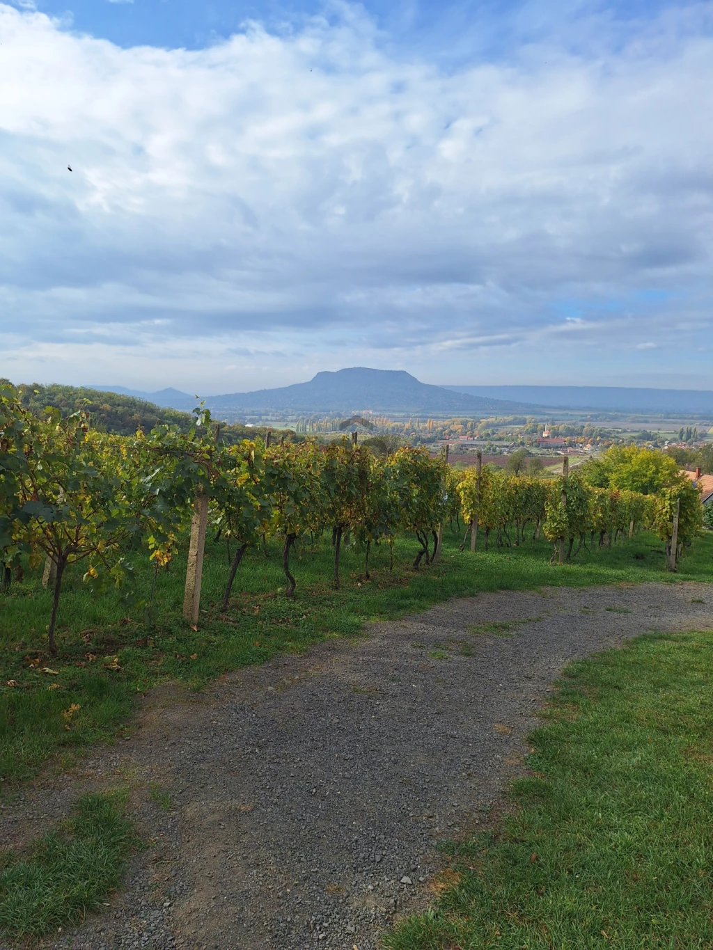 Eladó egyéb mezőgazdasági ingatlan, Gyulakeszi, Gyulakeszi