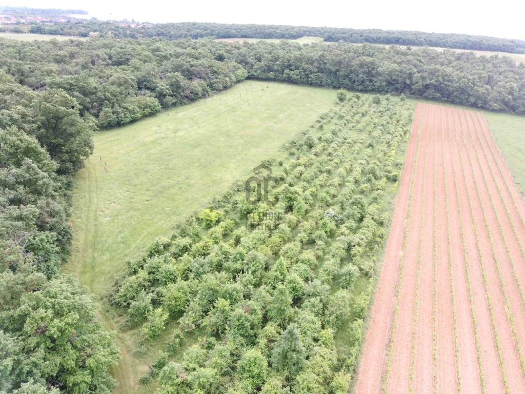 Eladó egyéb mezőgazdasági ingatlan, Zánka, Zánka