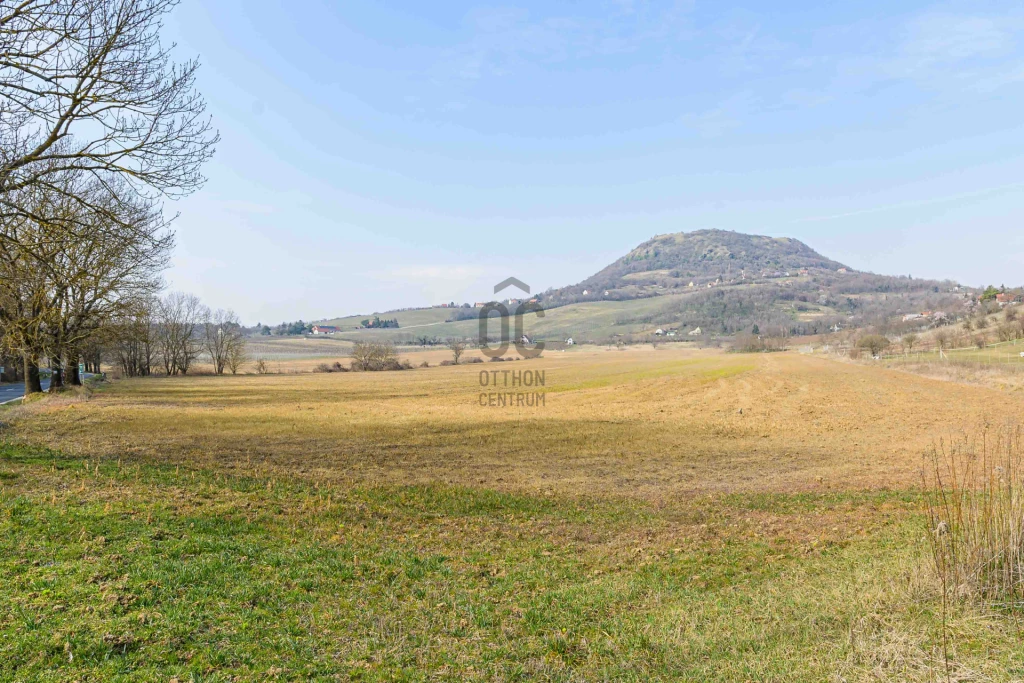 Eladó egyéb mezőgazdasági ingatlan, Káptalantóti, Káptalantóti