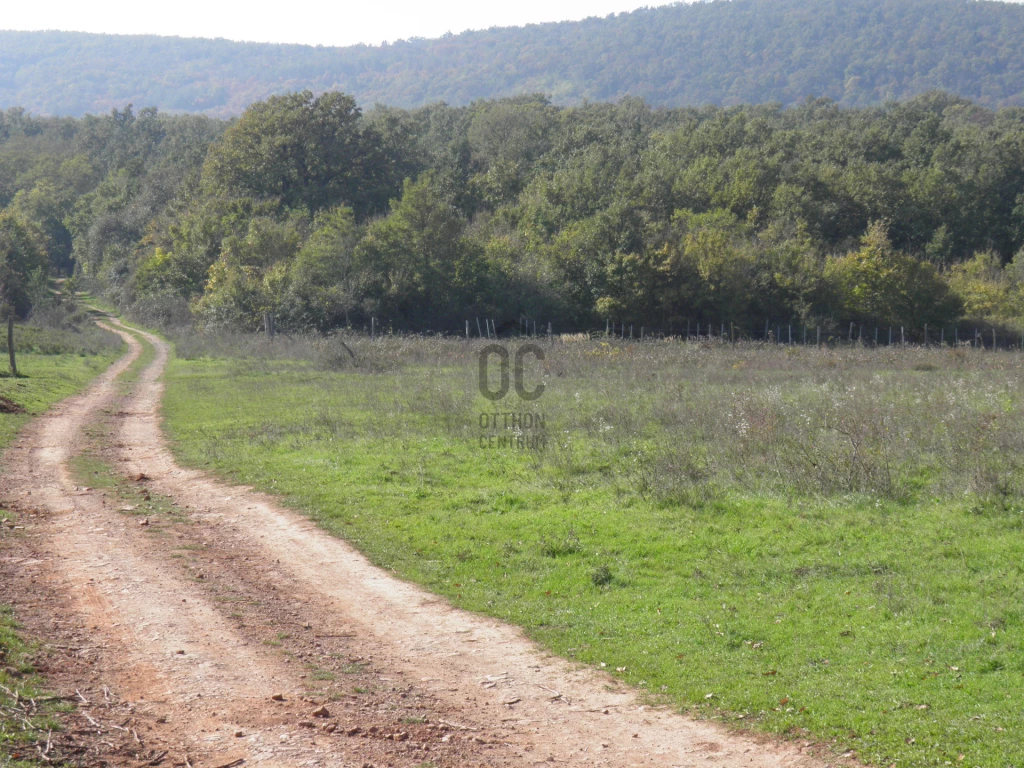 Eladó egyéb mezőgazdasági ingatlan, Zánka, Zánka