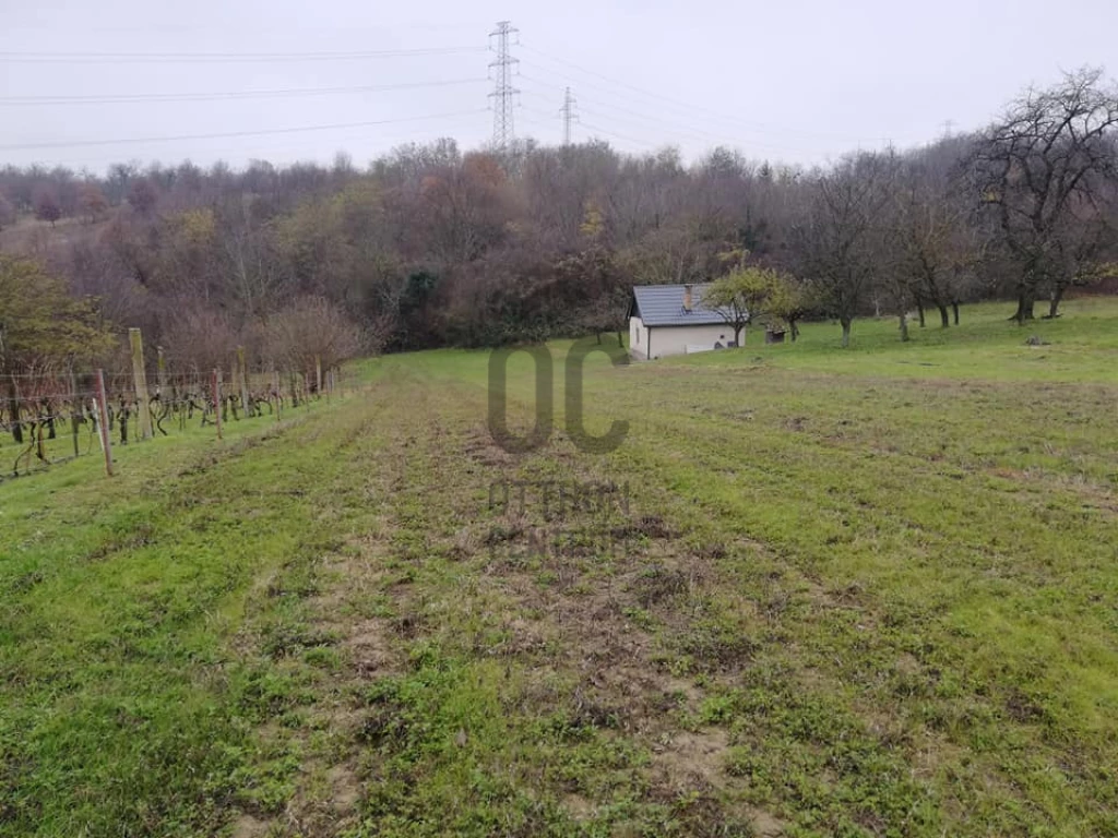 Eladó egyéb mezőgazdasági ingatlan, Zalacsány, Zalacsány