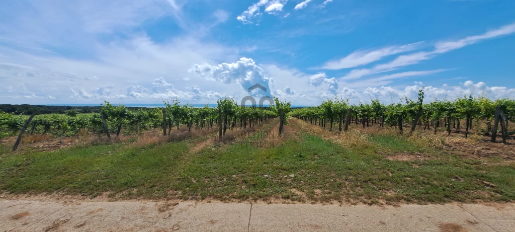 Eladó egyéb mezőgazdasági ingatlan, Tagyon, Tagyon