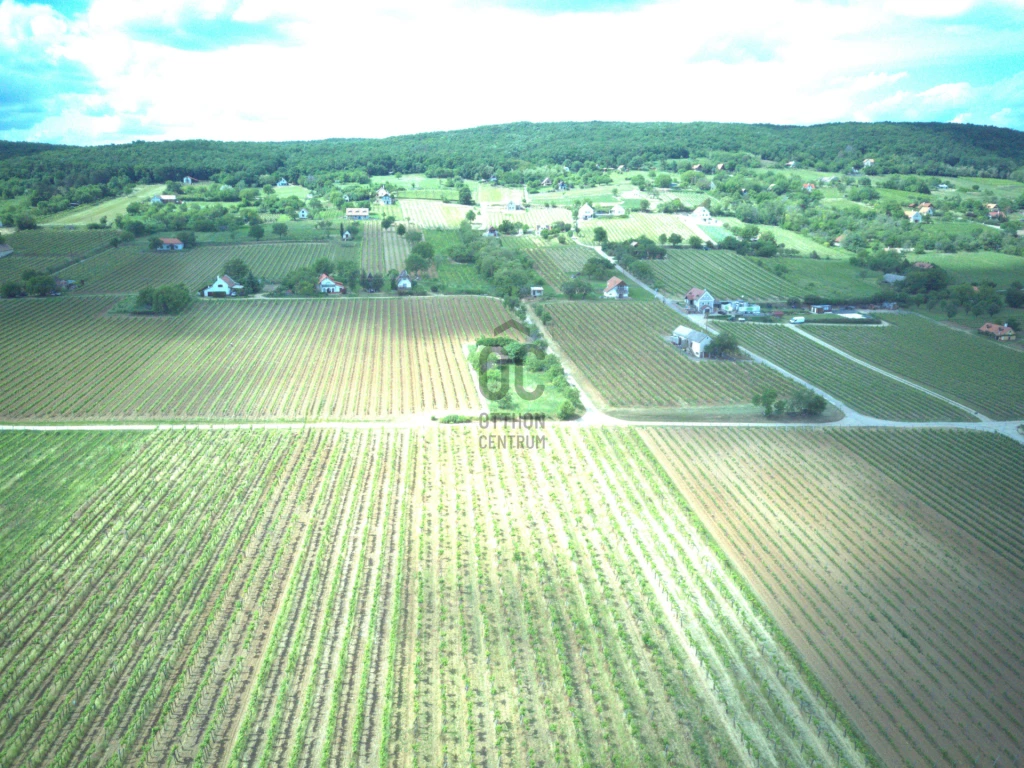 Eladó egyéb mezőgazdasági ingatlan, Tagyon, Tagyon