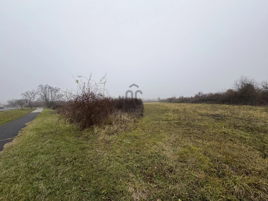Eladó egyéb mezőgazdasági ingatlan, Balatonakali, Balatonakali