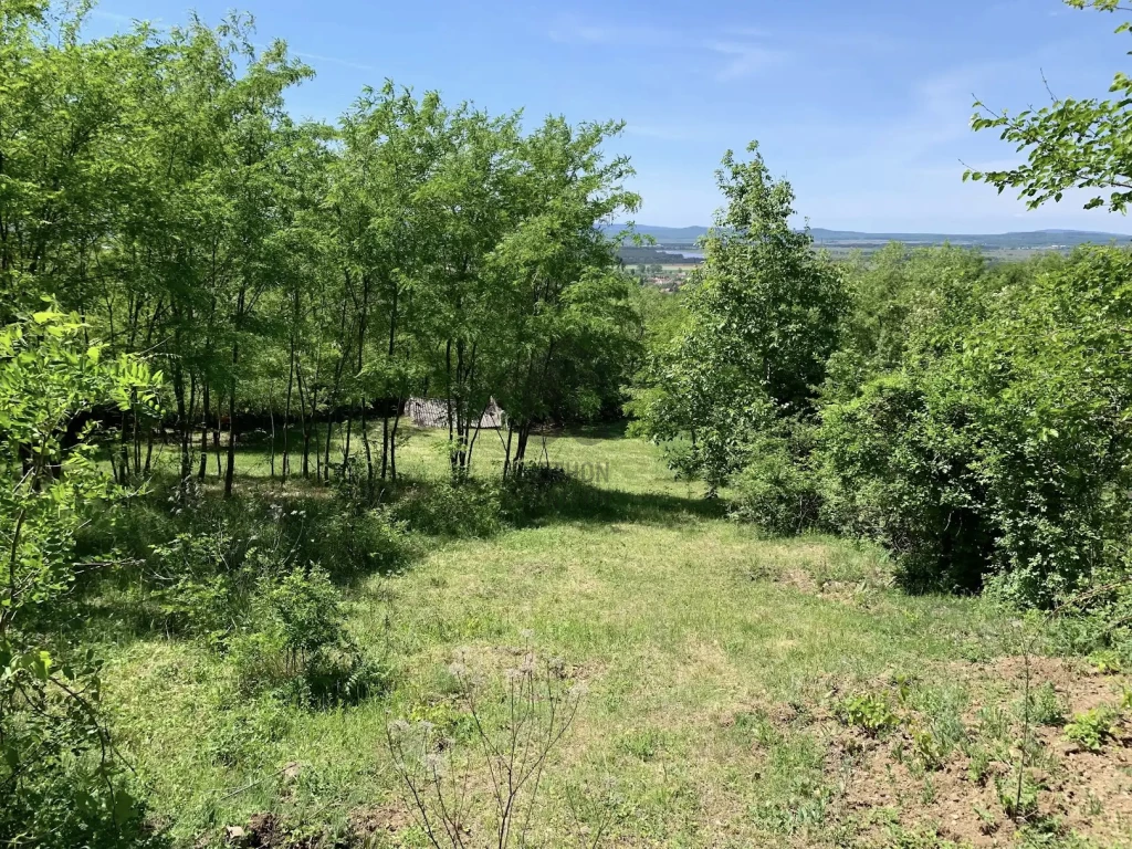 Eladó üdülő, nyaraló, Tapolca, Diszel