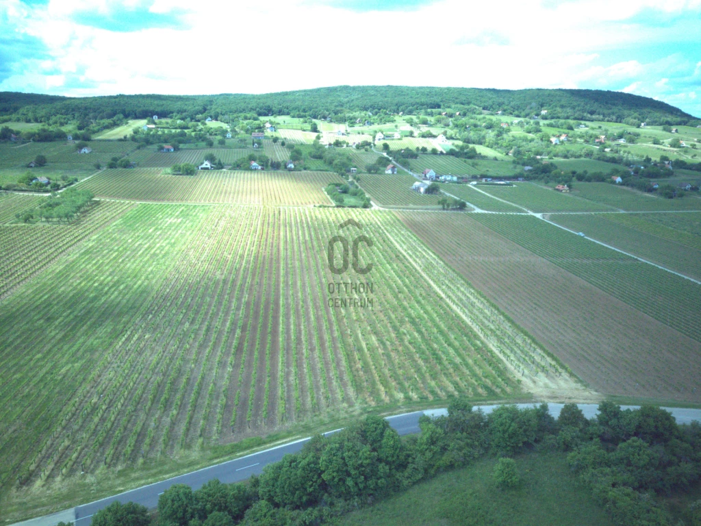 Eladó egyéb mezőgazdasági ingatlan, Tagyon, Tagyon