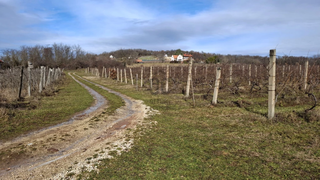 Eladó külterületi telek, Balatonrendes, Balatonrendes