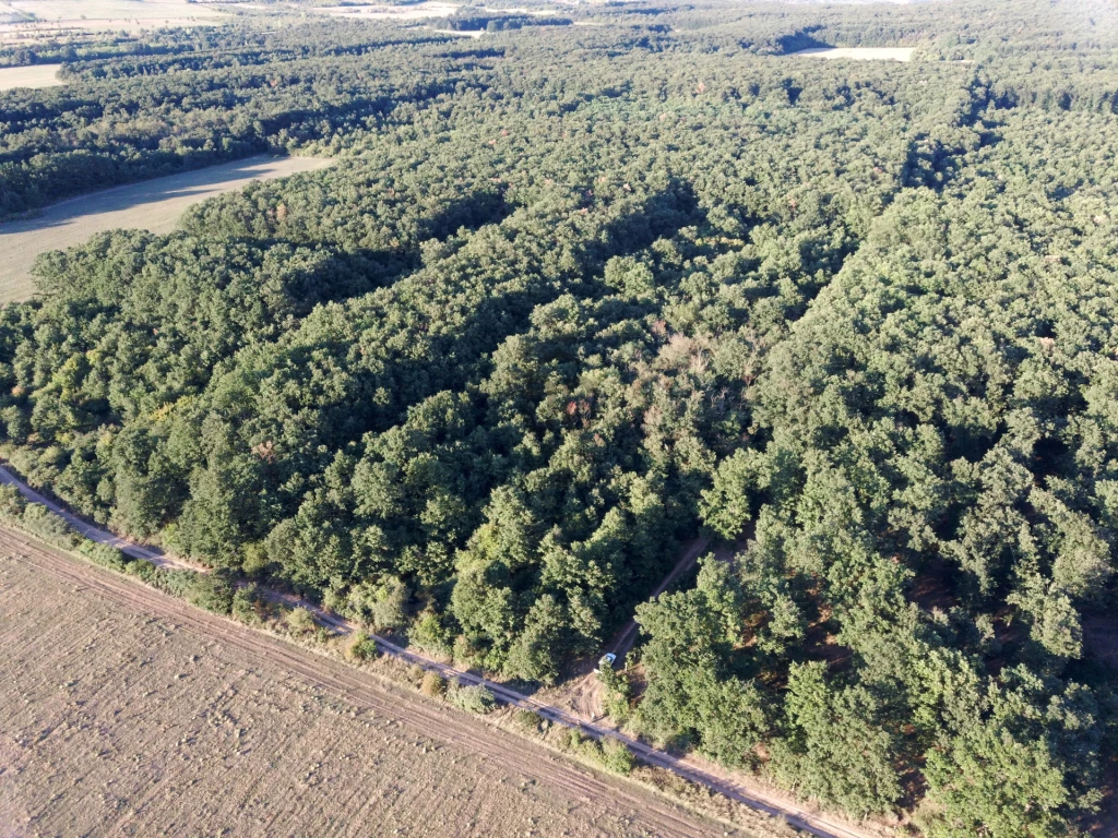 Eladó egyéb mezőgazdasági ingatlan, Kővágóörs, Kővágóörs