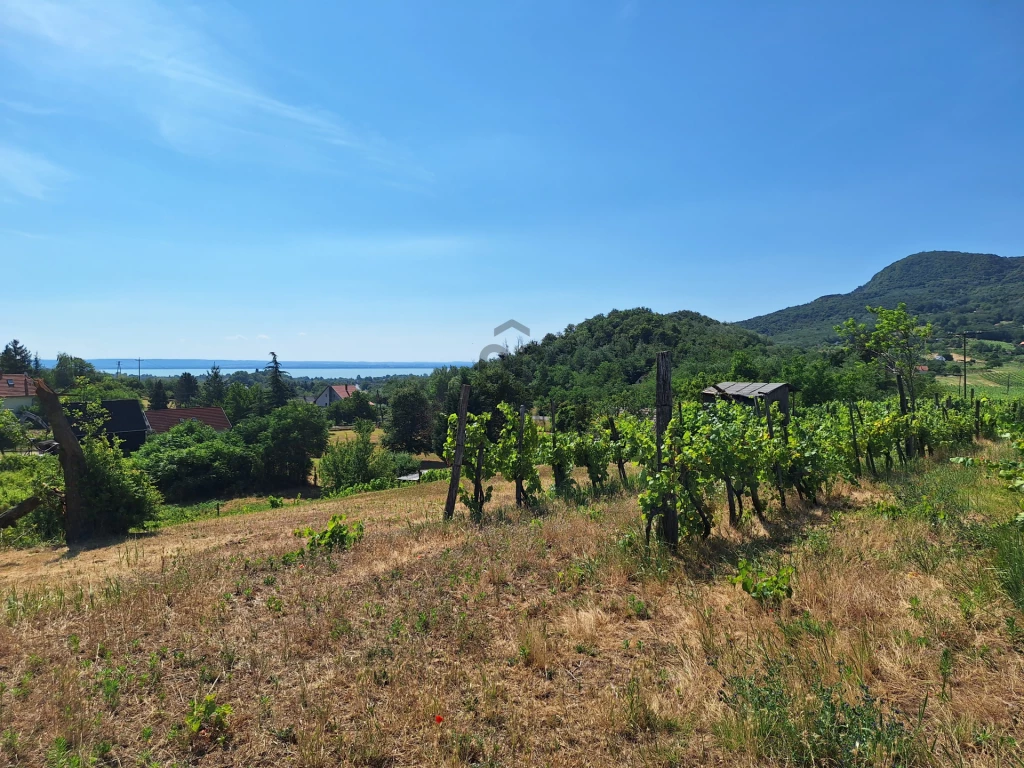 Eladó üdülőtelek, Nemesgulács, Nemesgulács