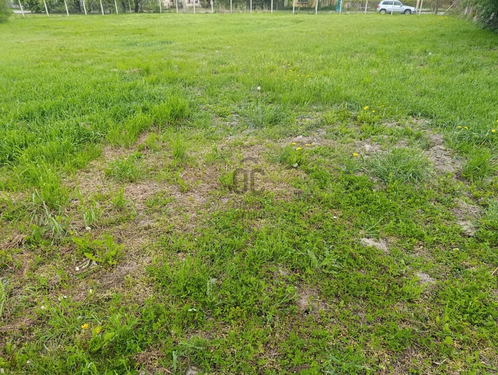Eladó építési telek, Zalacsány, Zalacsány