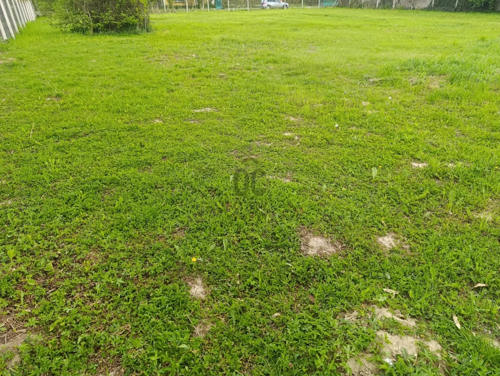 Eladó építési telek, Zalacsány, Zalacsány