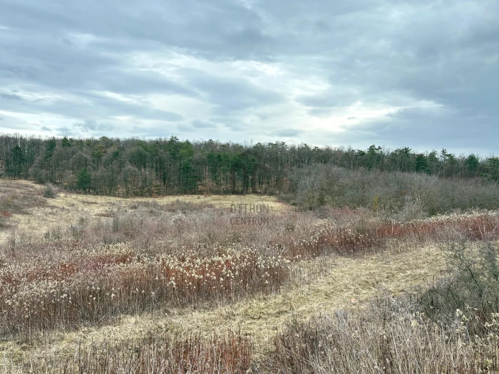 Eladó külterületi telek, Dörgicse, Dörgicse