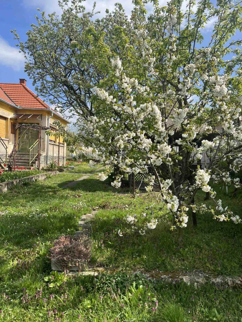 Eladó családi ház, Gyulakeszi, Gyulakeszi