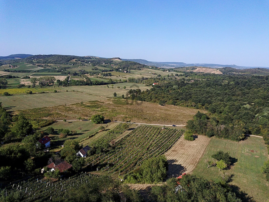Eladó üdülő, nyaraló, Káptalantóti, Káptalantóti