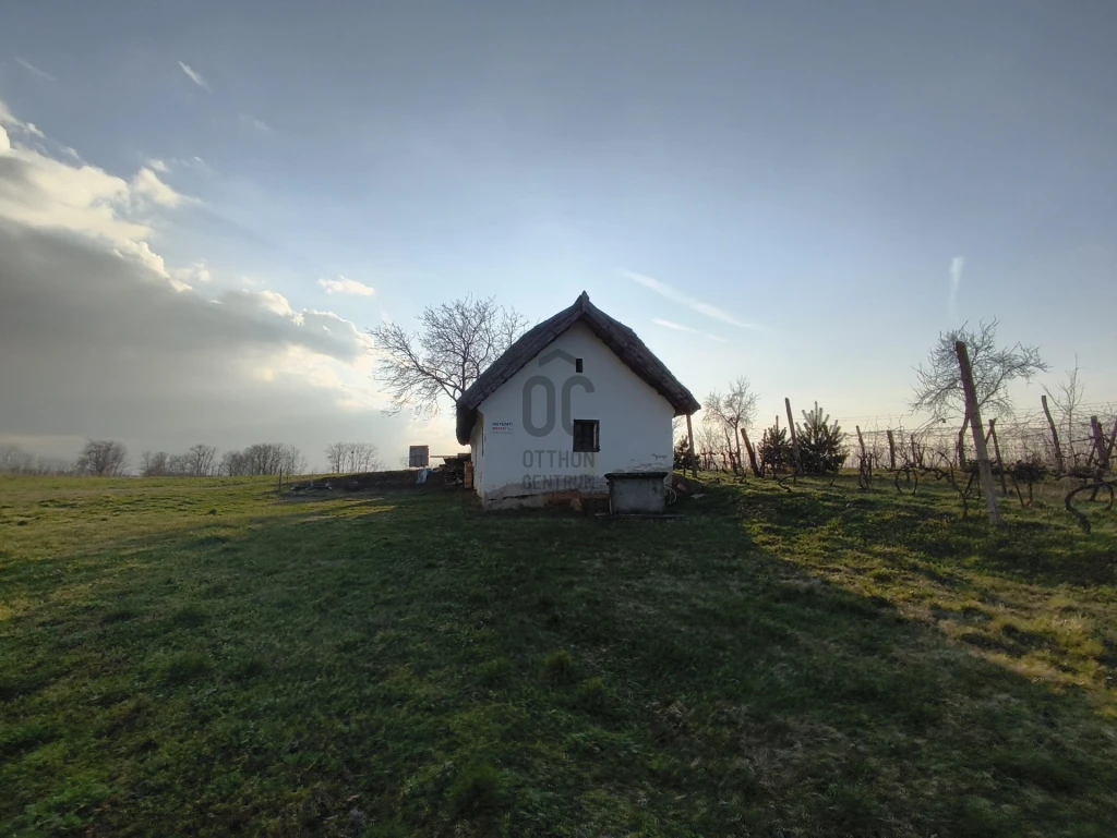 c3-1-name c2-63-name, Buzsák, Buzsák