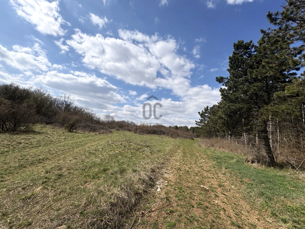 Eladó egyéb mezőgazdasági ingatlan, Vászoly, Vászoly