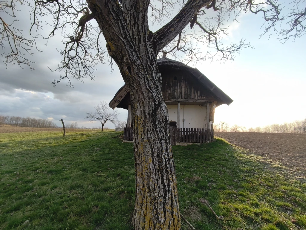 Eladó üdülő, nyaraló, Buzsák, Buzsák