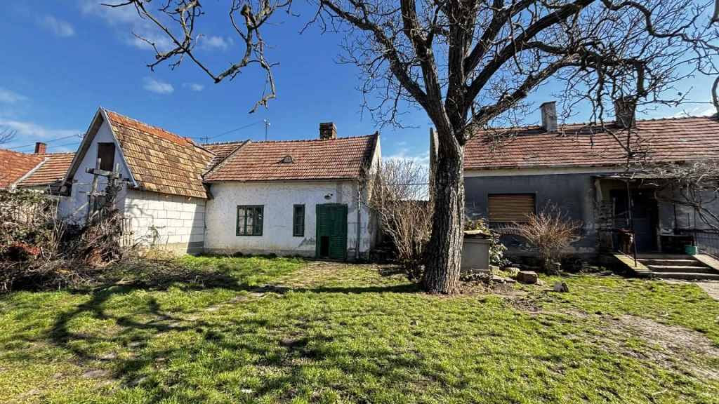 c3-1-name c2-1-name, Tapolca, Tapolca