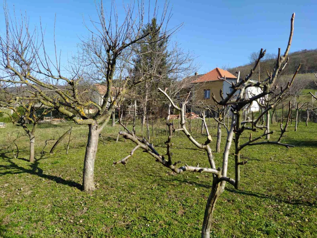 c3-1-name c2-84-name, Sümeg, Sümeg