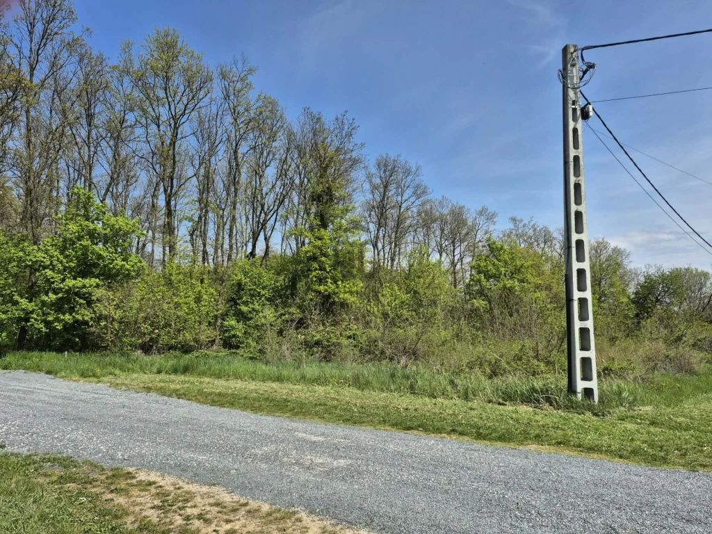 c3-1-name c2-50-name, Alsópáhok, Nemesboldogasszonyfa