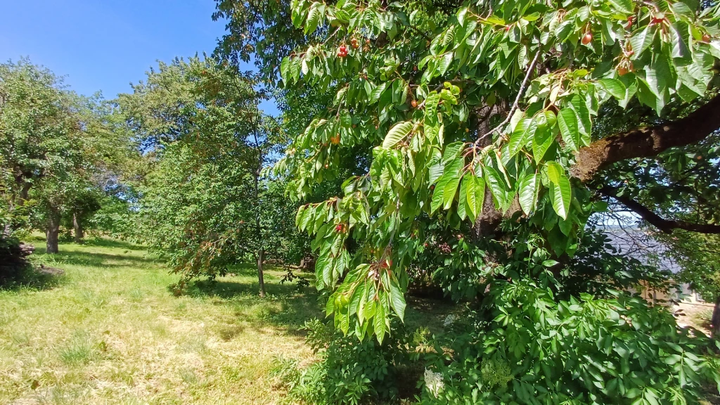 Eladó építési telek, Zalaegerszeg, Vorhota