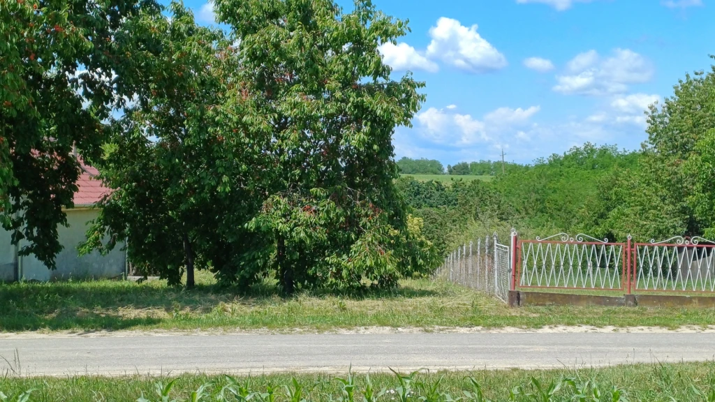 Eladó építési telek, Zalalövő, Zalalövő