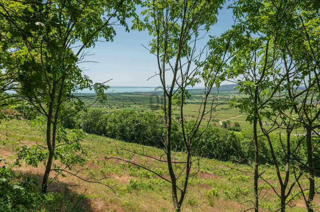 c3-1-name c2-63-name, Balatoncsicsó, Balatoncsicsó