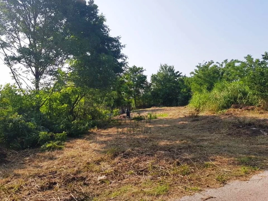 For sale building plot, Sárbogárd, Sárbogárd