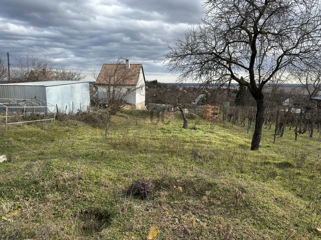 Eladó üdülő, nyaraló, Pákozd, Pákozd 1