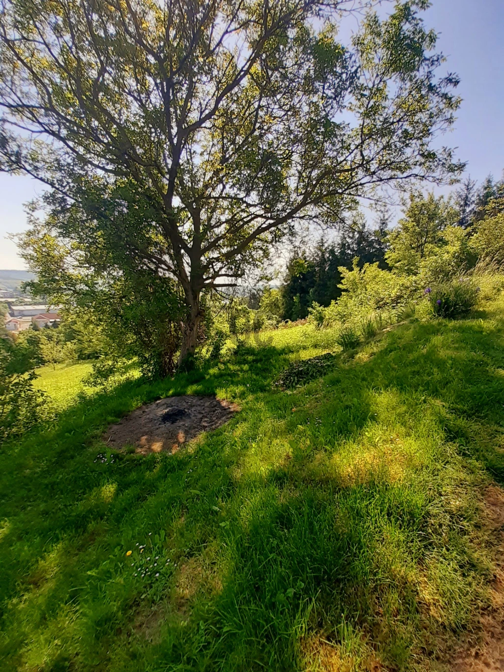 Eladó külterületi telek, Zalaegerszeg, Jánkahegy