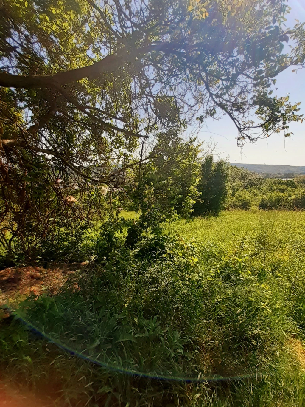 For sale periphery plot, Zalaegerszeg, Jánkahegy