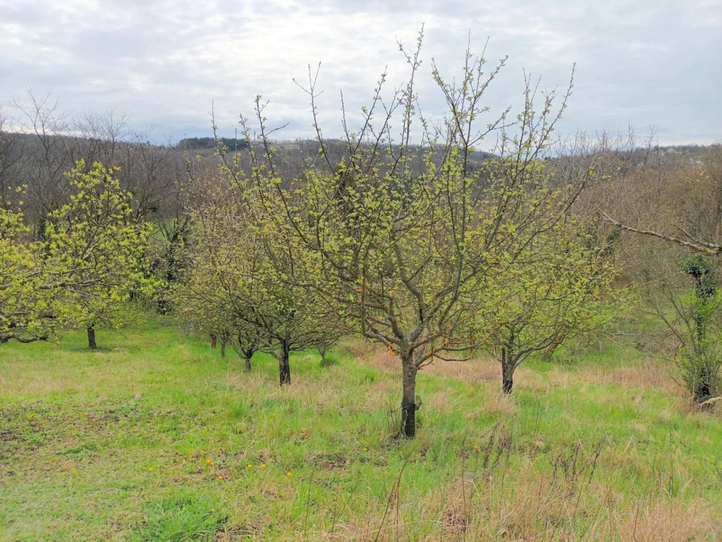 For sale building plot, Pethőhenye, Pethőhenye