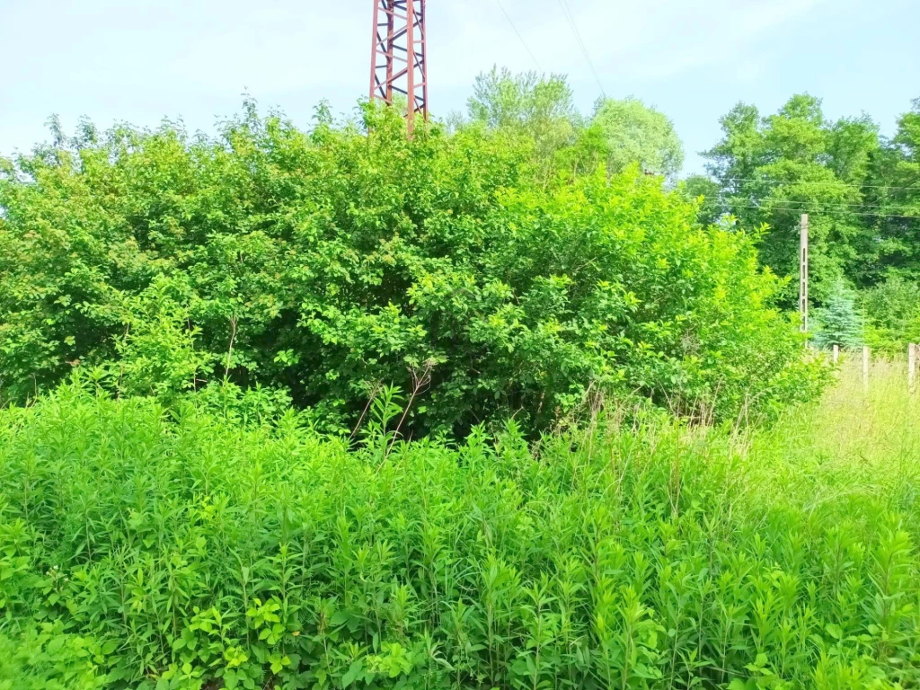 For sale periphery plot, Zalaszentgrót, Zalaszentgrót