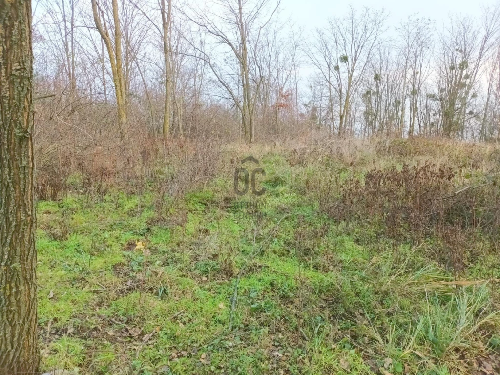 For sale periphery plot, Zalaszentgrót, Csáford