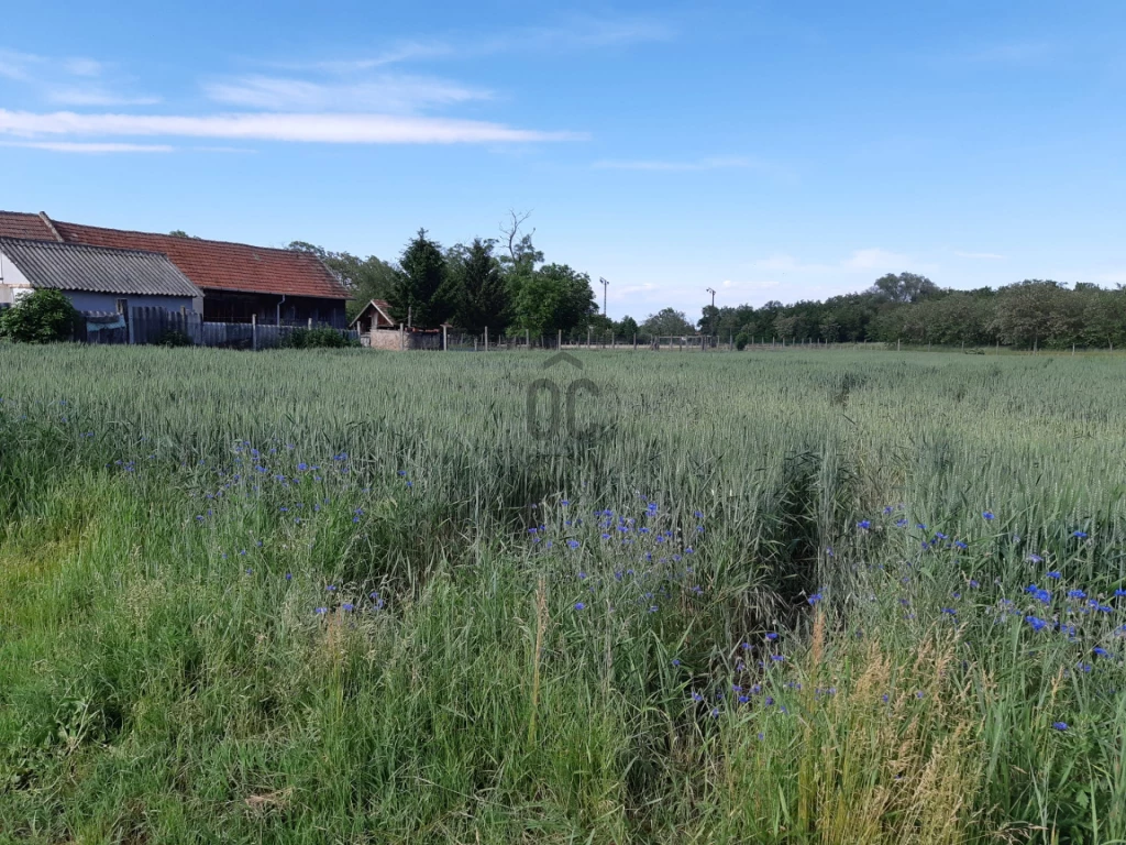 Eladó építési telek, Püspökmolnári, Püspökmolnári