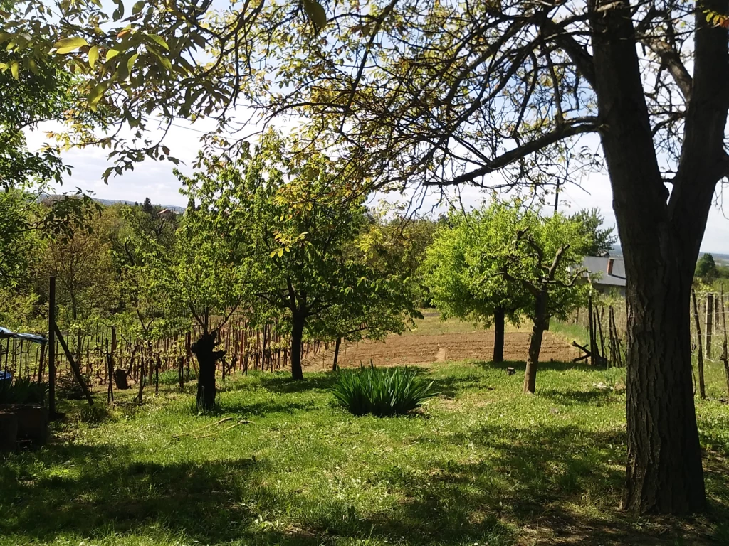 For sale building plot, Zalaegerszeg, Csácsi