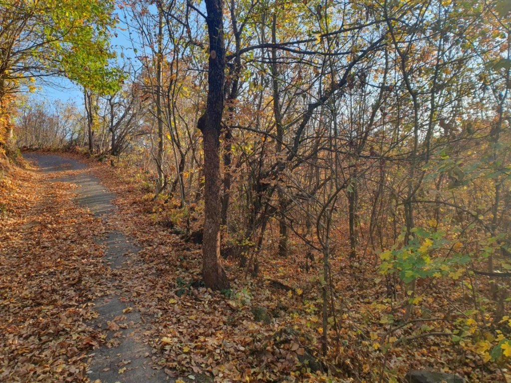 Eladó külterületi telek, Gyulakeszi, Gyulakeszi