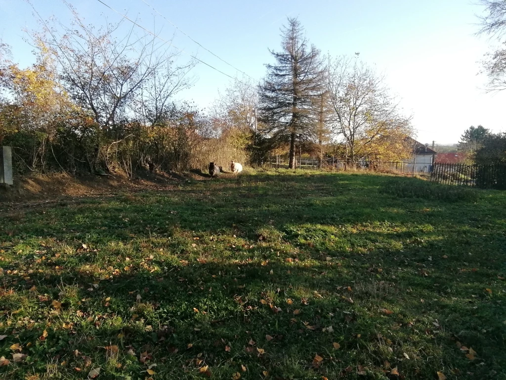 Eladó építési telek, Nagykutas, Nagykutas