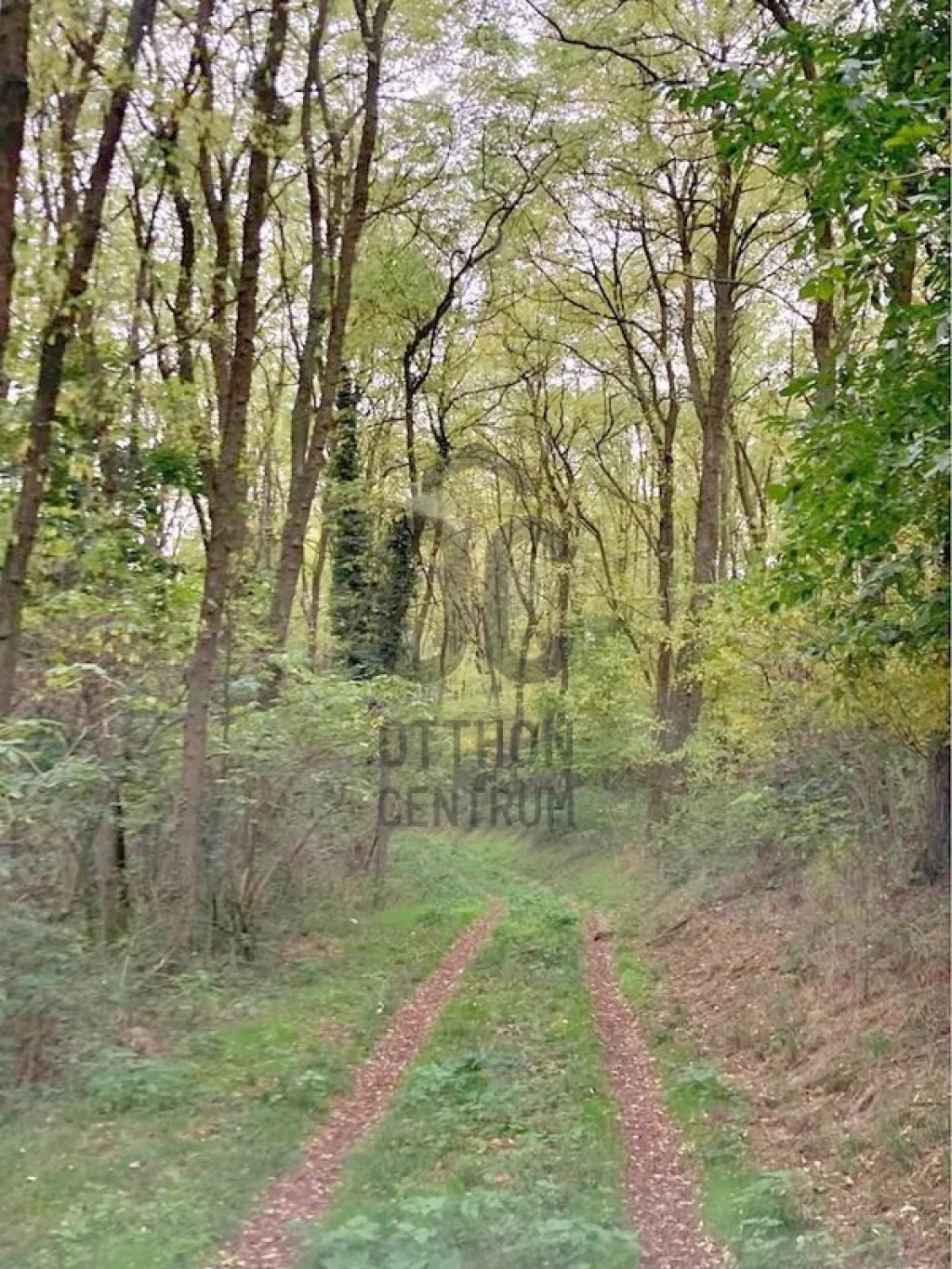 For sale other agricultural, Bocfölde, Kökényes