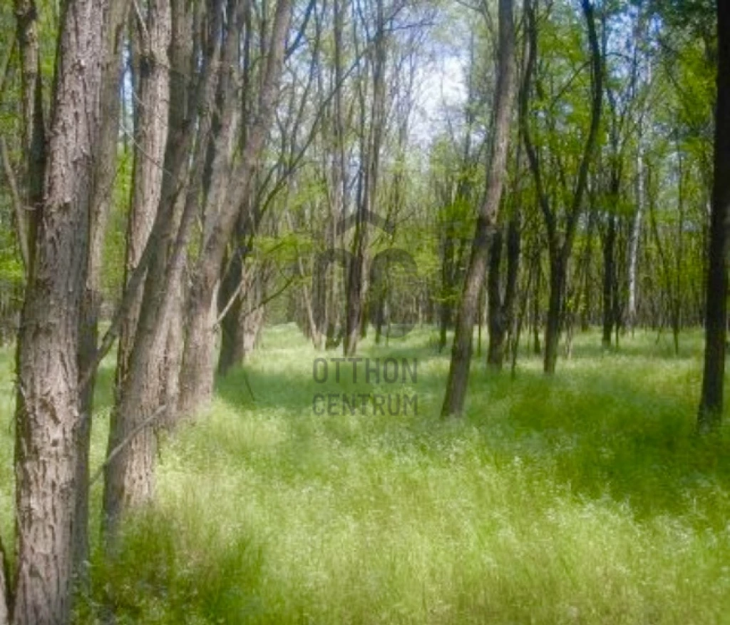 For sale other agricultural, Andrásfa, Andrásfa