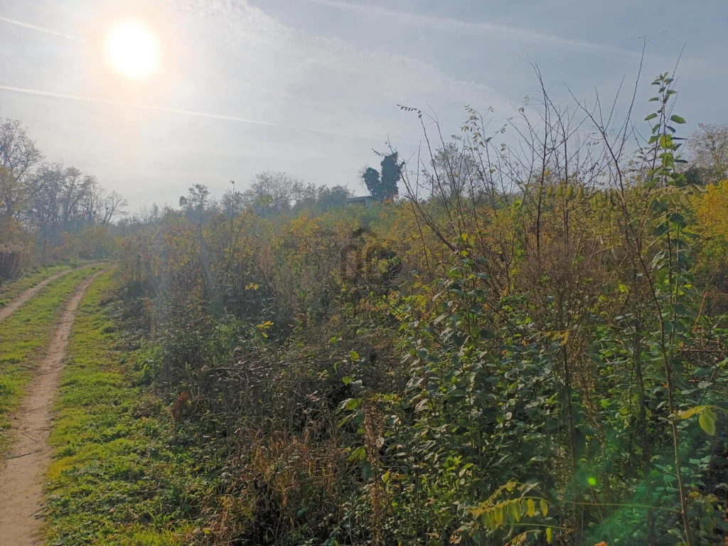 Eladó külterületi telek, Zalabér, Zalabér